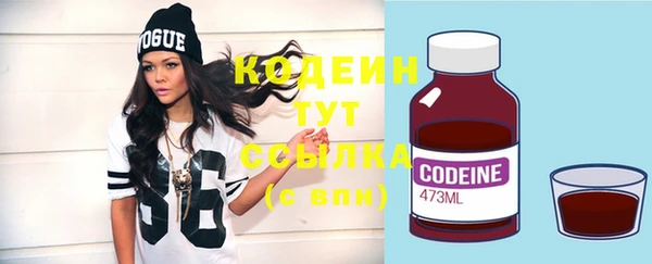 индика Нея
